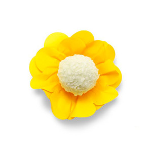 Form Nstyle Amarelo C/40un