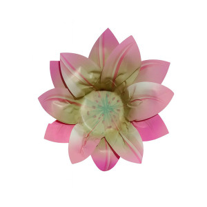 Form Lily Rosa Nude C/25un