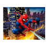PAINEL TNT HOMEM ARANHA
