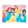 PAINEL TNT PRINCESAS DISNEY