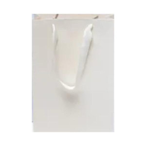 Sacola Kraft PP Branca com Alça Cordão – Kit com 10 Unidades Pequena para Loja e Presente