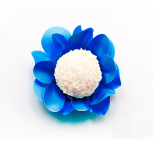 Form Nstyle Azul Royal C/40un