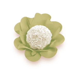 Form Nstyle Erva Doce C/40un