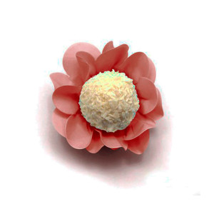 Form Nstyle Rosa Chl C/40un