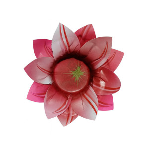 Form Lily Marsala C/25un