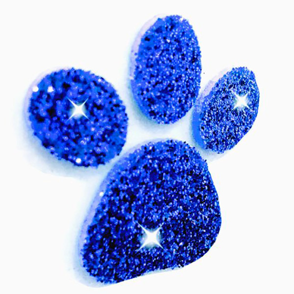 APLIQUE EVA GLITTER PATRULHA CANINA PATINHAS